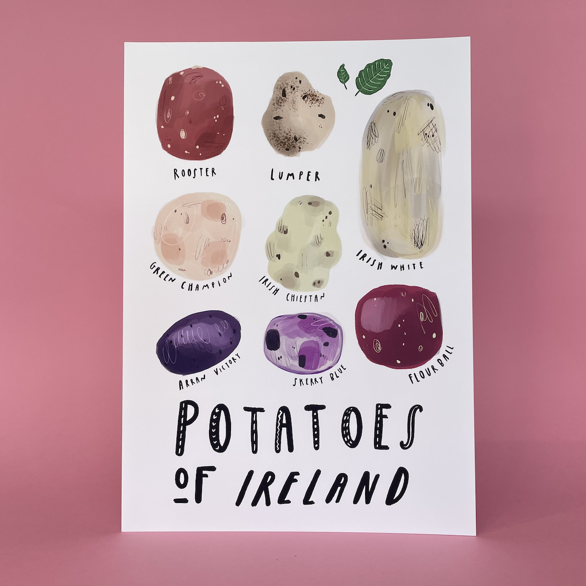 Potatoes of Ireland Print | Peter Paints Pictures
