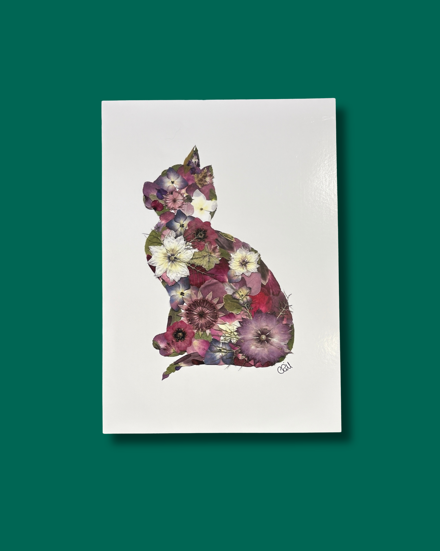 Cat Pressed Flowers Print | The Wallflower
