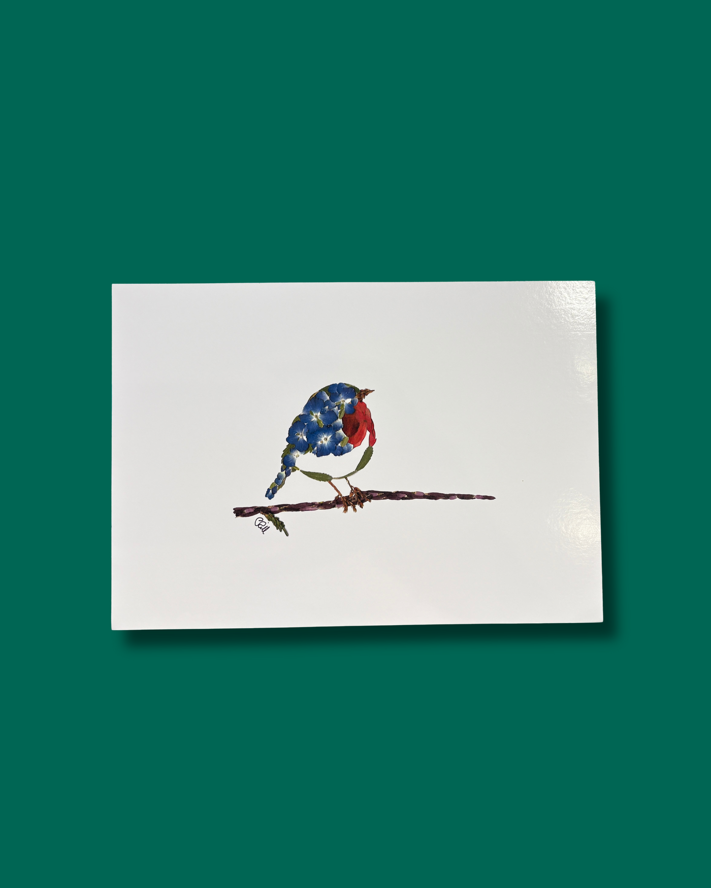 Robin Pressed Flowers Print | The Wallflower
