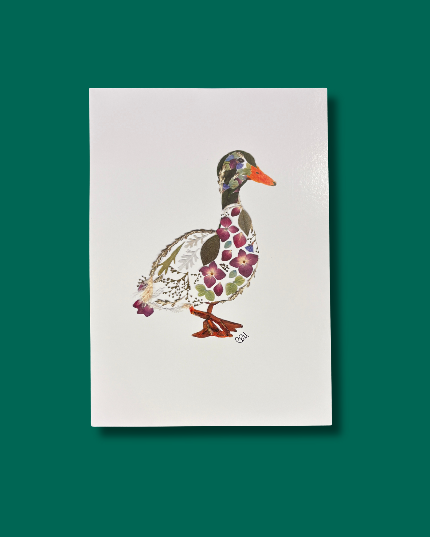 Duck Pressed Flowers Print | The Wallflower