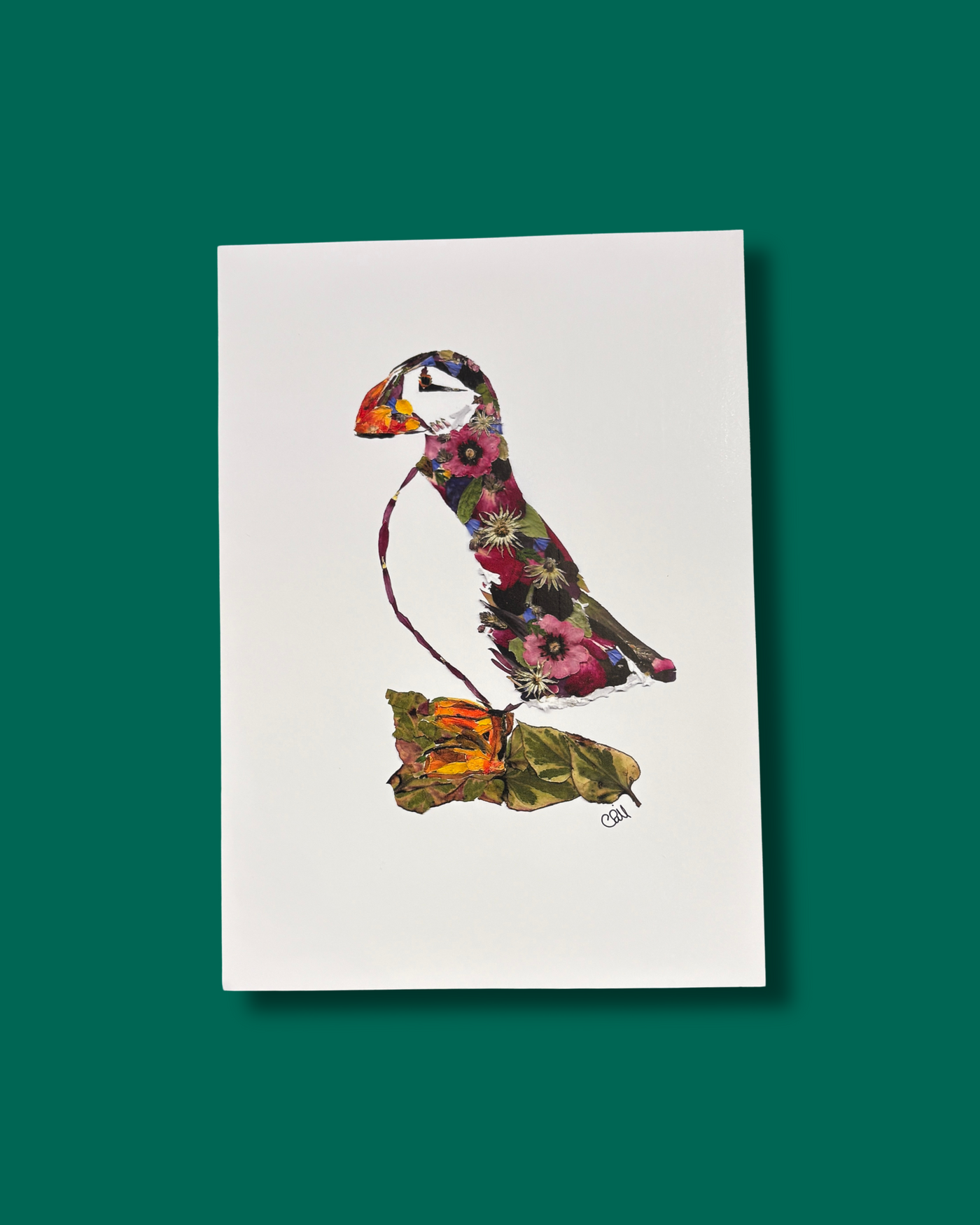 Puffin Pressed Flowers Print | The Wallflower