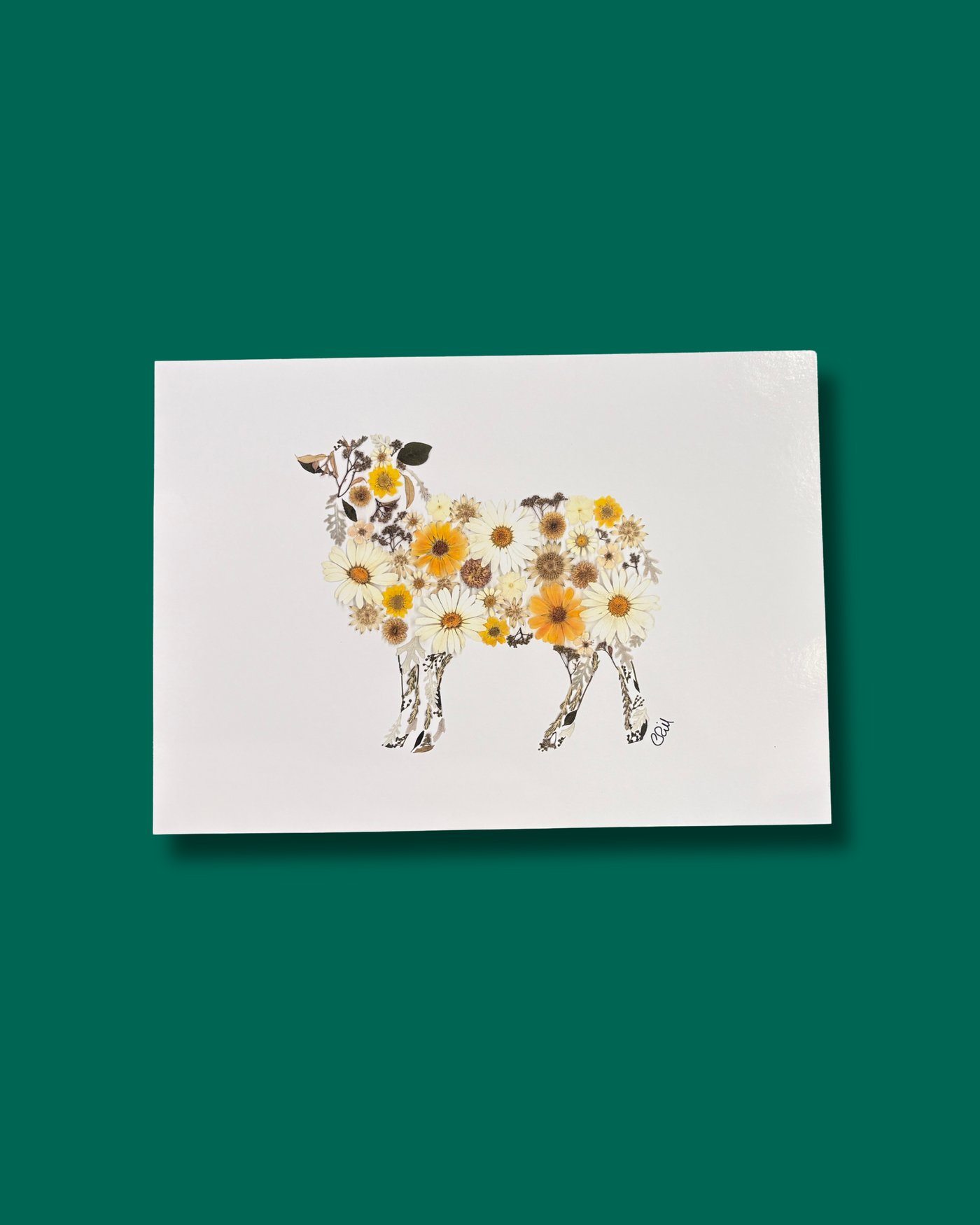 Sheep Pressed Flowers Print | The Wallflower