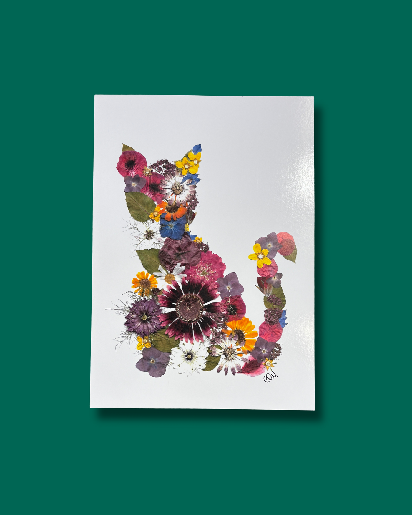 Cat Pressed Flowers Print | The Wallflower