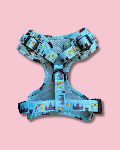 Dog Harness | Mutts About Belfast | Murphy & Bailey