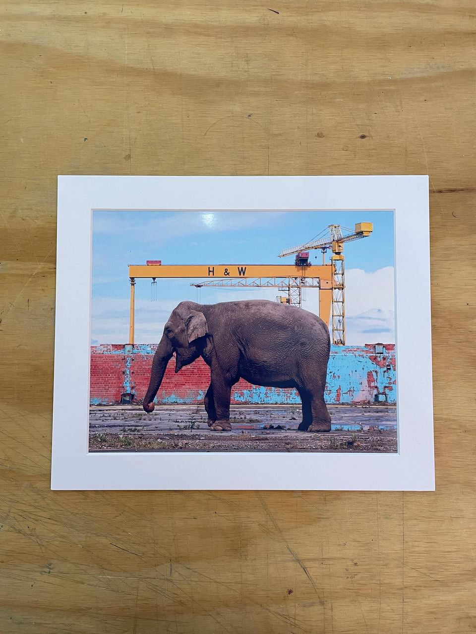 Elephant at Harland and Wolff