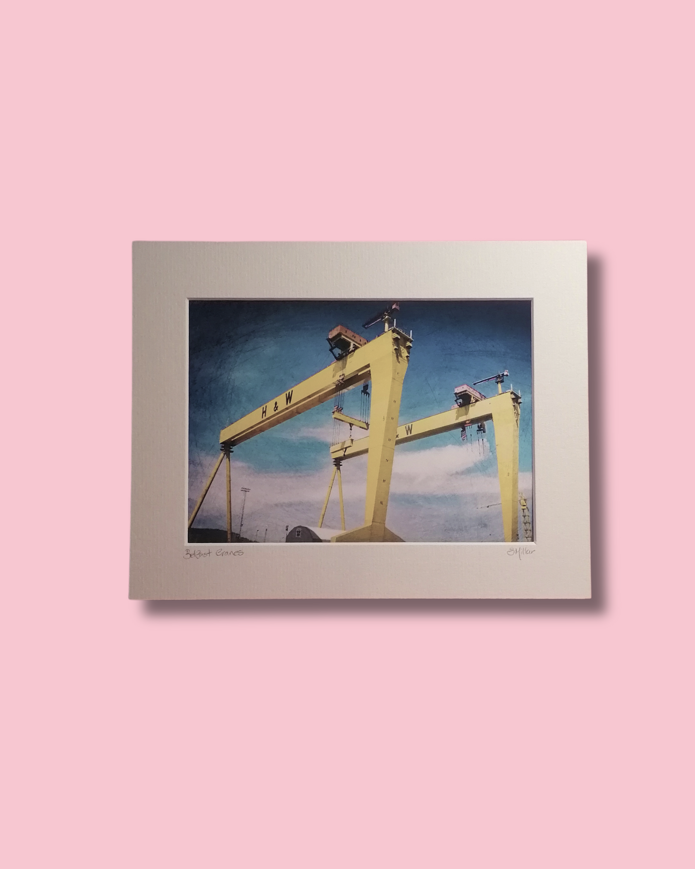 Colour Cranes - Photographic Print