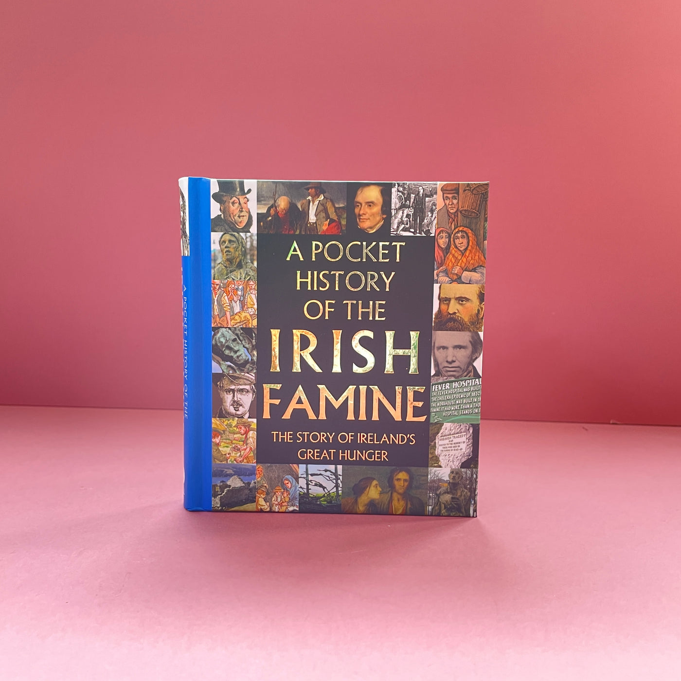Una guía de bolsillo sobre la gran hambruna irlandesa