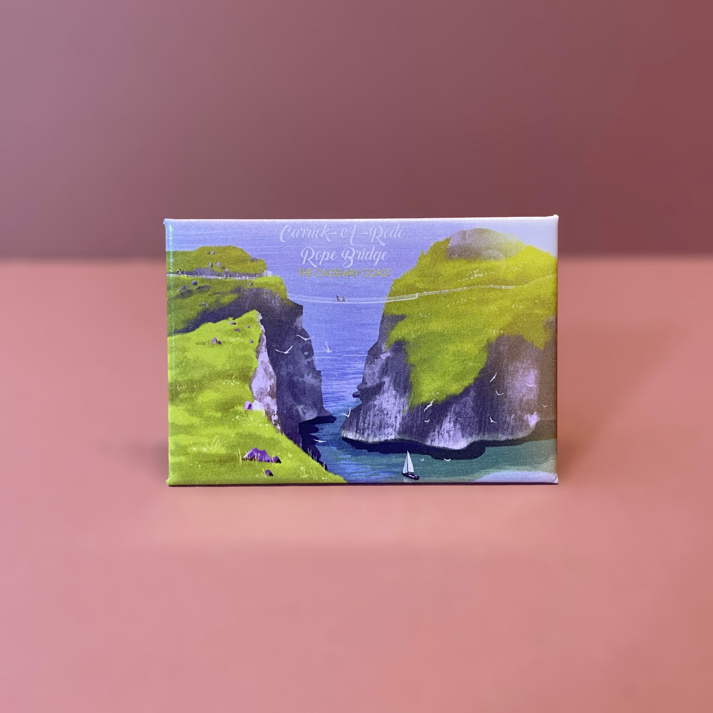 Carrick A Rede Rope Bridge