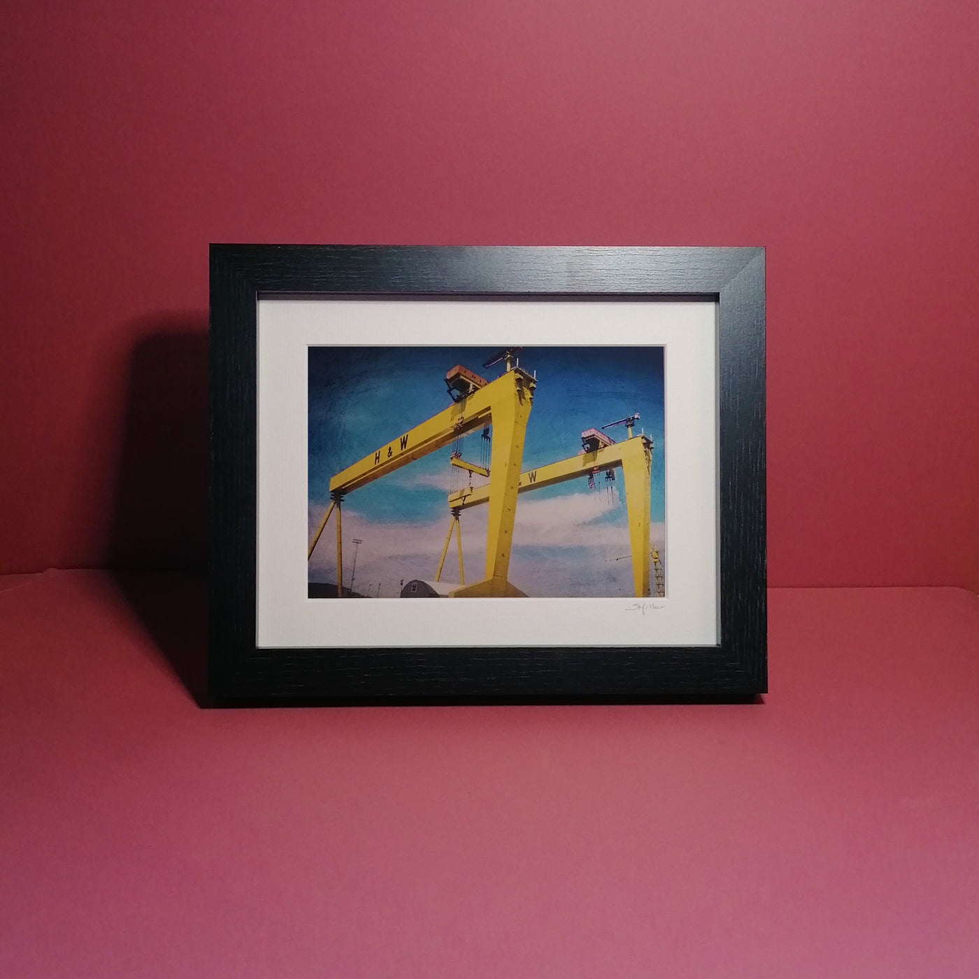 Colour Cranes - Framed Photographic Print